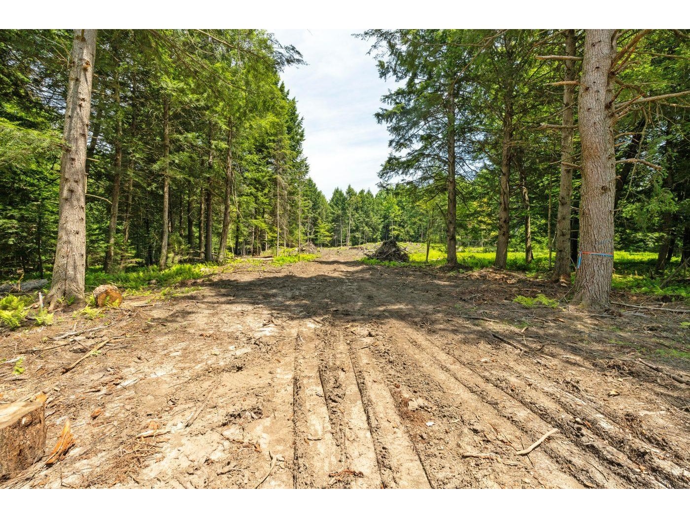 00 Baird Road