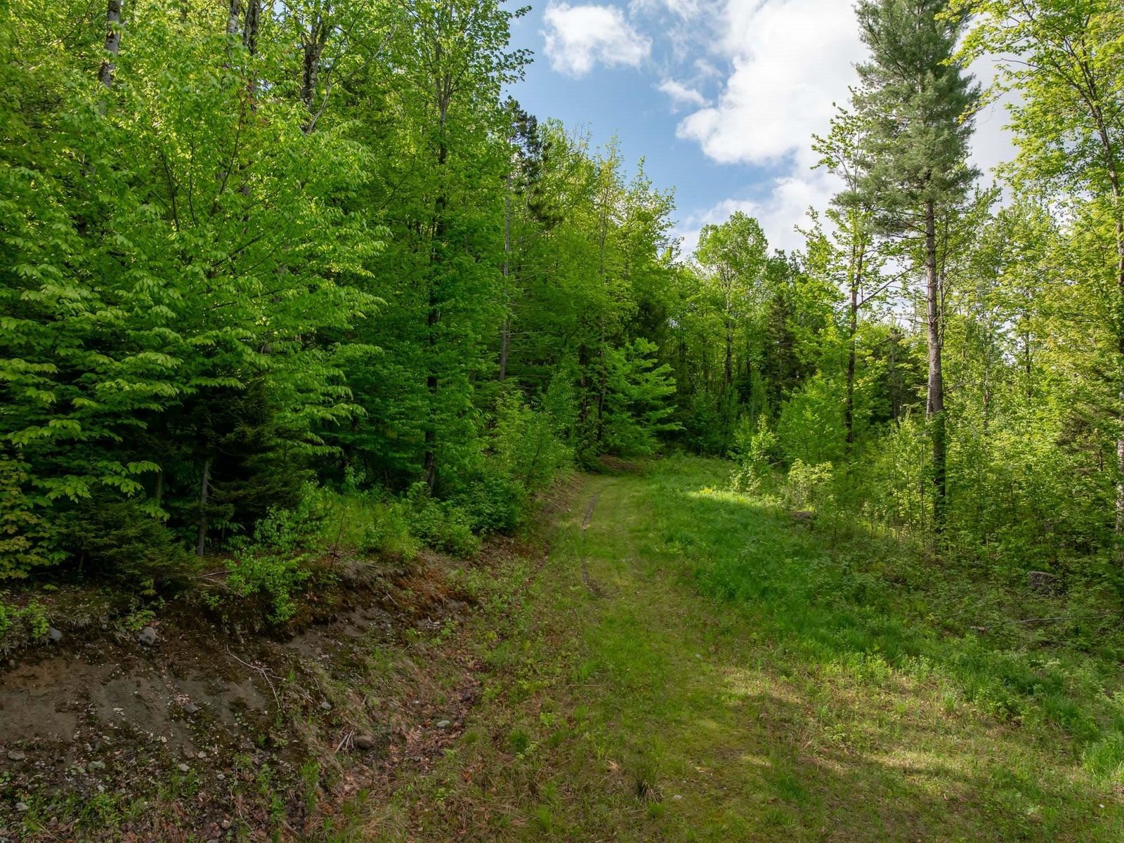 00 Bear Creek Lane