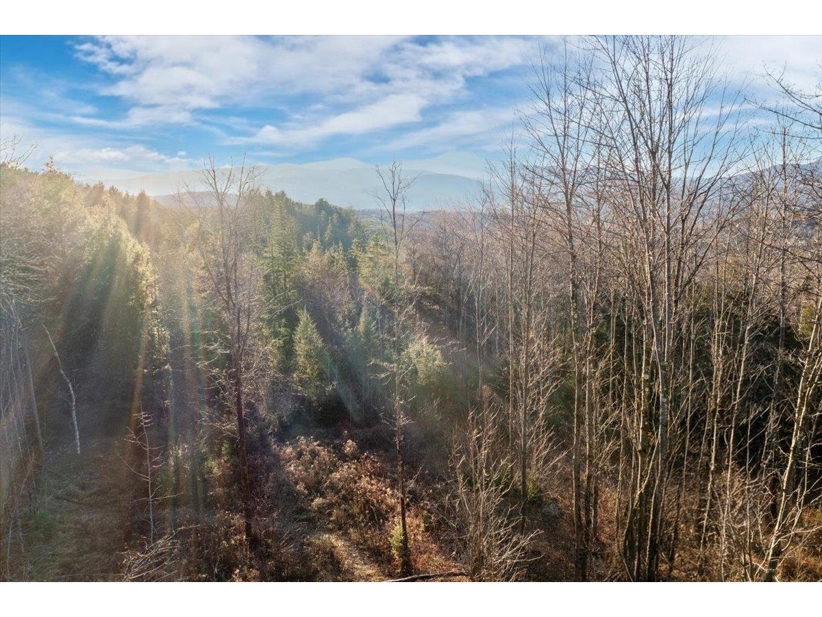 00 Bear Creek Lane