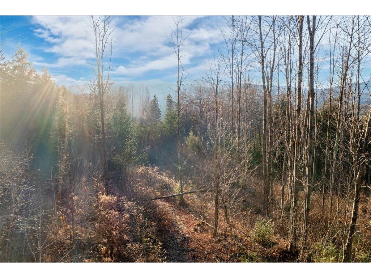 00 Bear Creek Lane