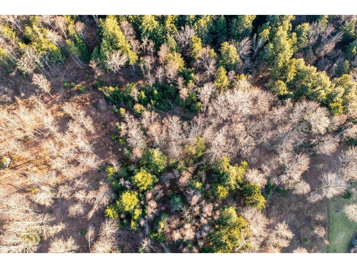 00 Bear Creek Lane