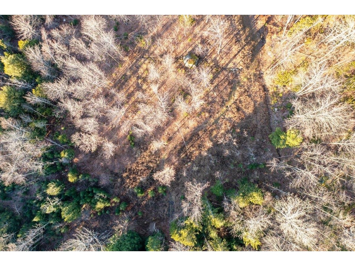 00 Bear Creek Lane