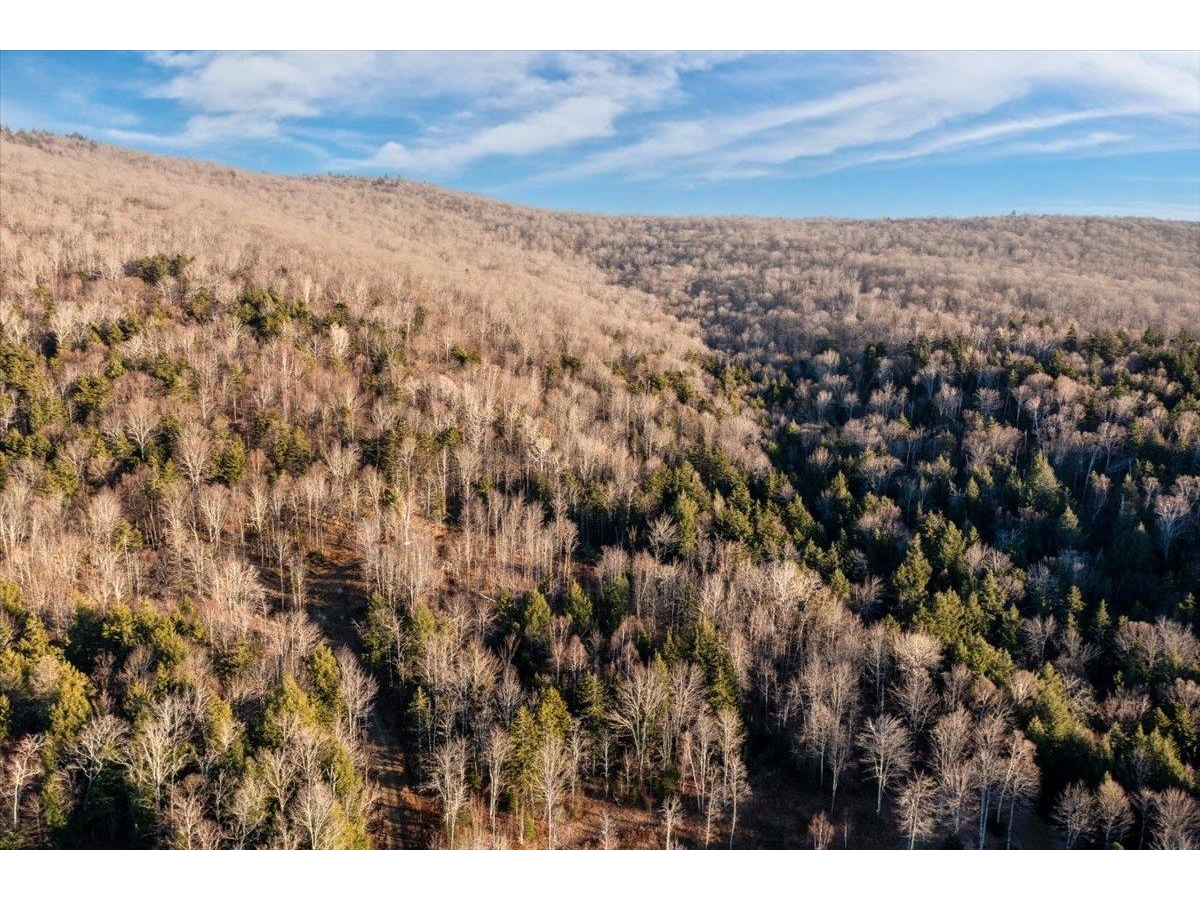 00 Bear Creek Lane