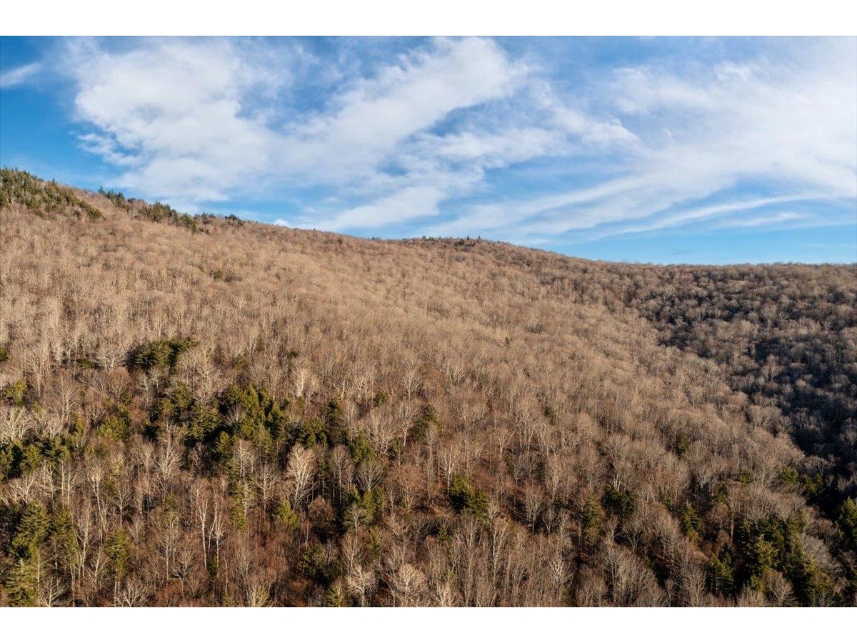 00 Bear Creek Lane