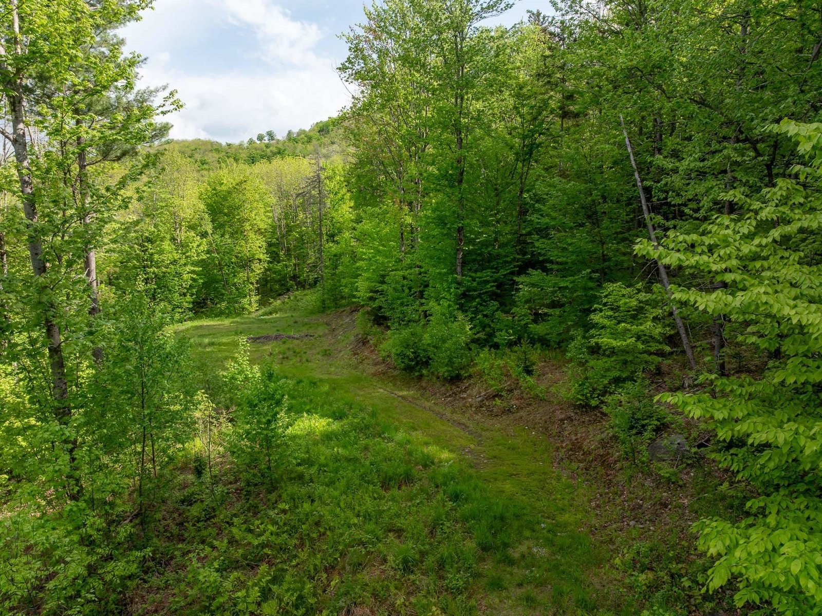 00 Bear Creek Lane