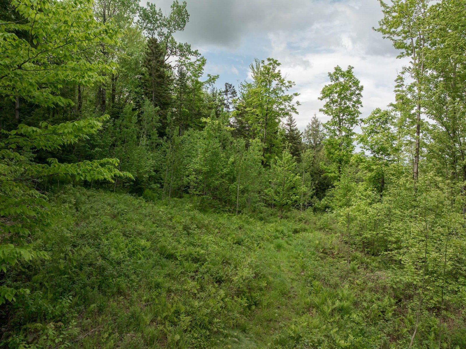 00 Bear Creek Lane