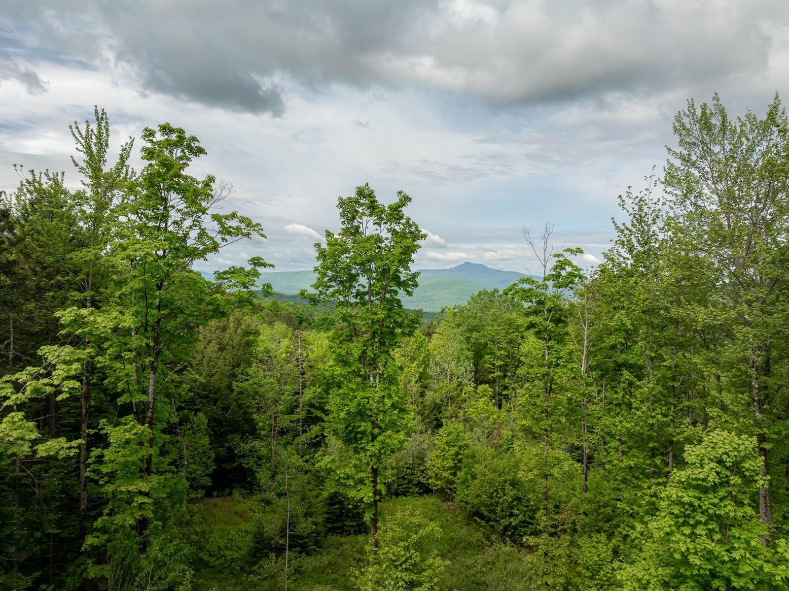 00 Bear Creek Lane