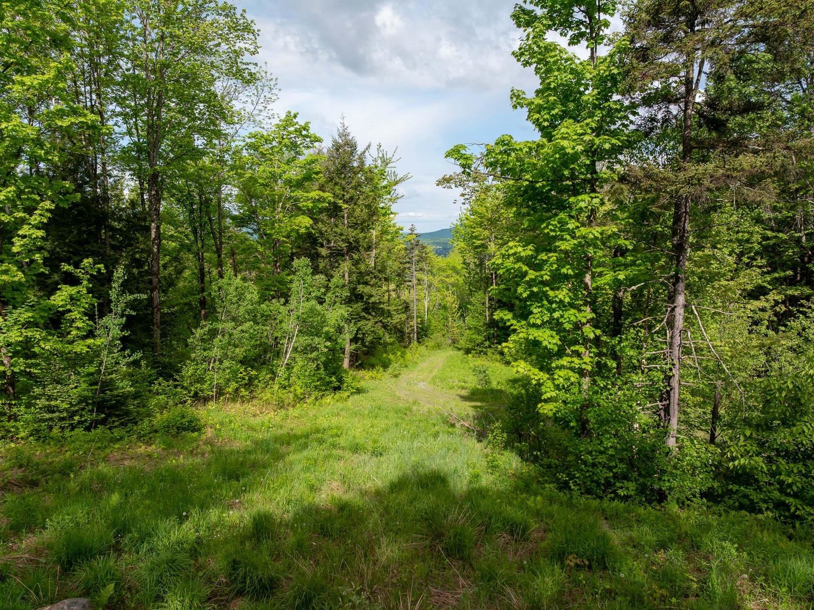 00 Bear Creek Lane
