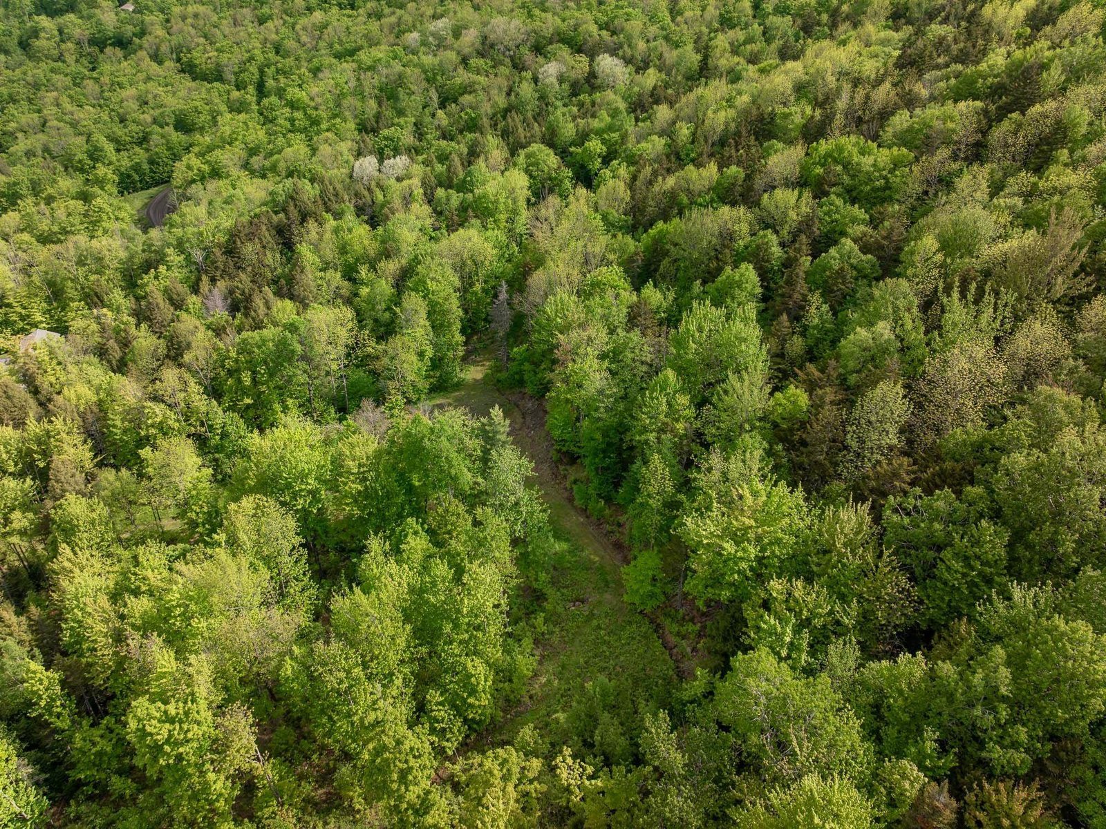 00 Bear Creek Lane