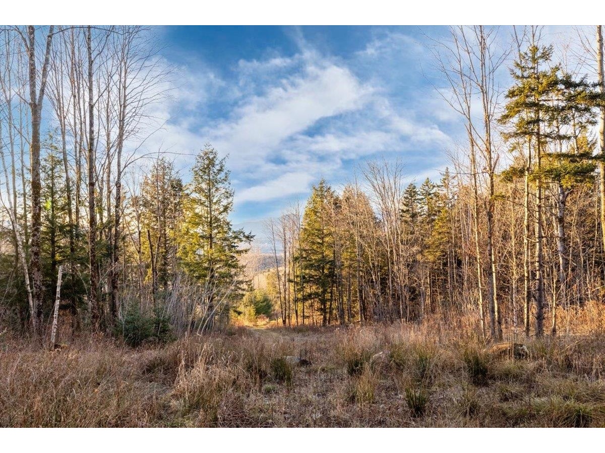 00 Bear Creek Lane