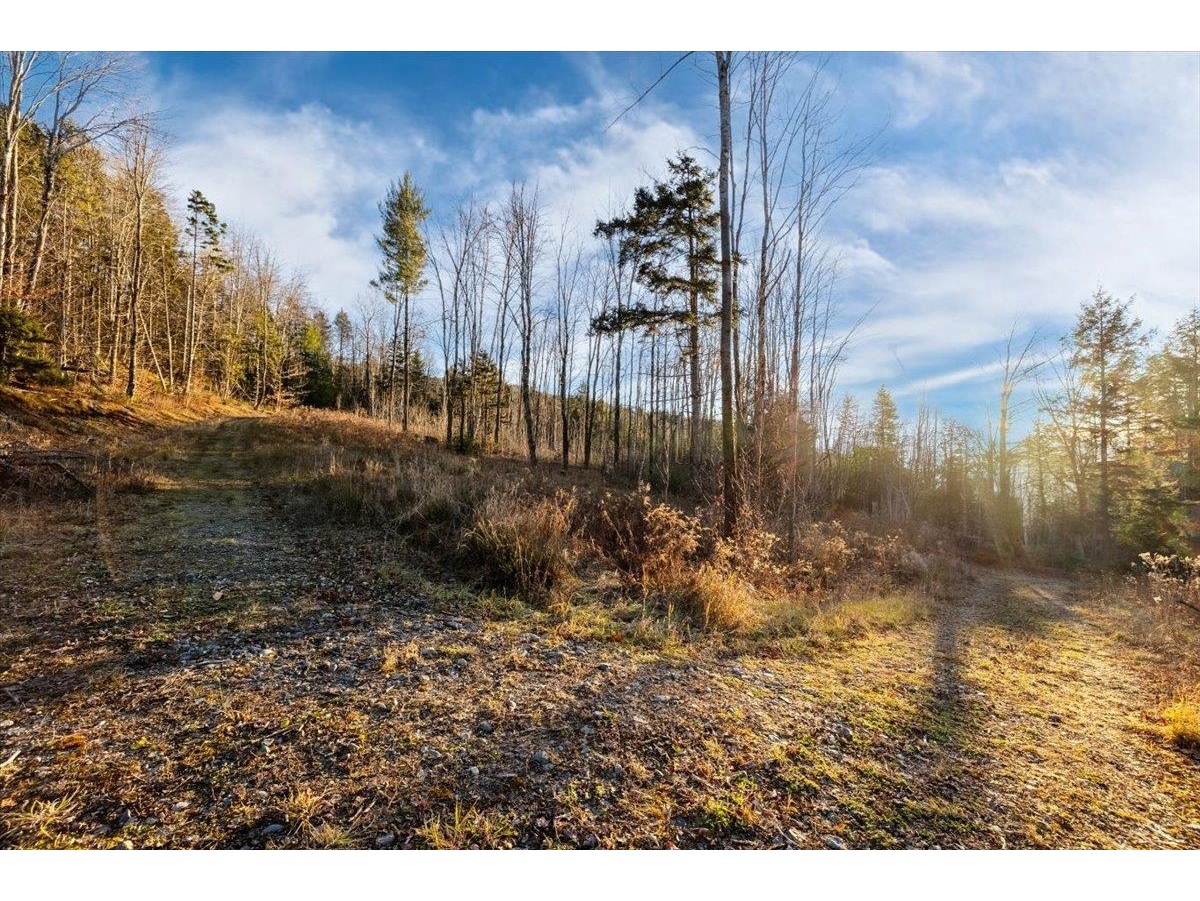 00 Bear Creek Lane