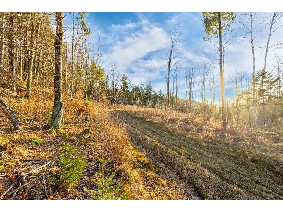 00 Bear Creek Lane