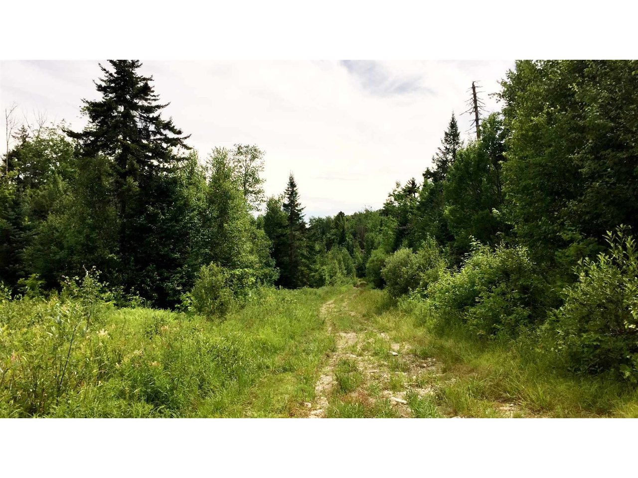 00 Bear Farm Road