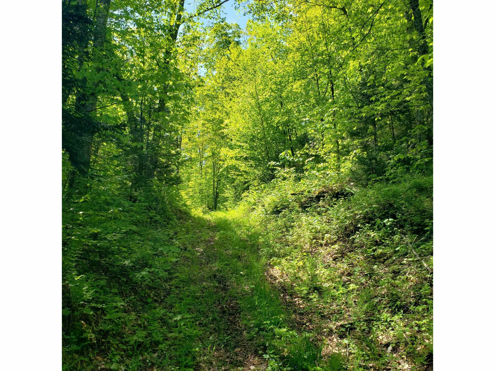 00 Beaver Meadow Road