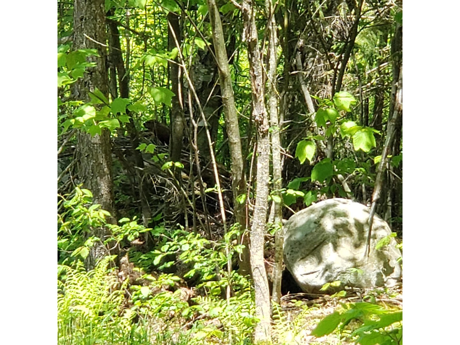 00 Beaver Meadow Road