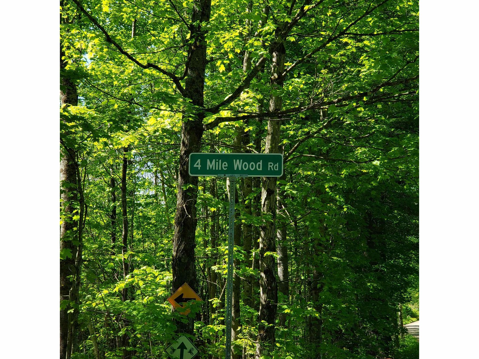 00 Beaver Meadow Road