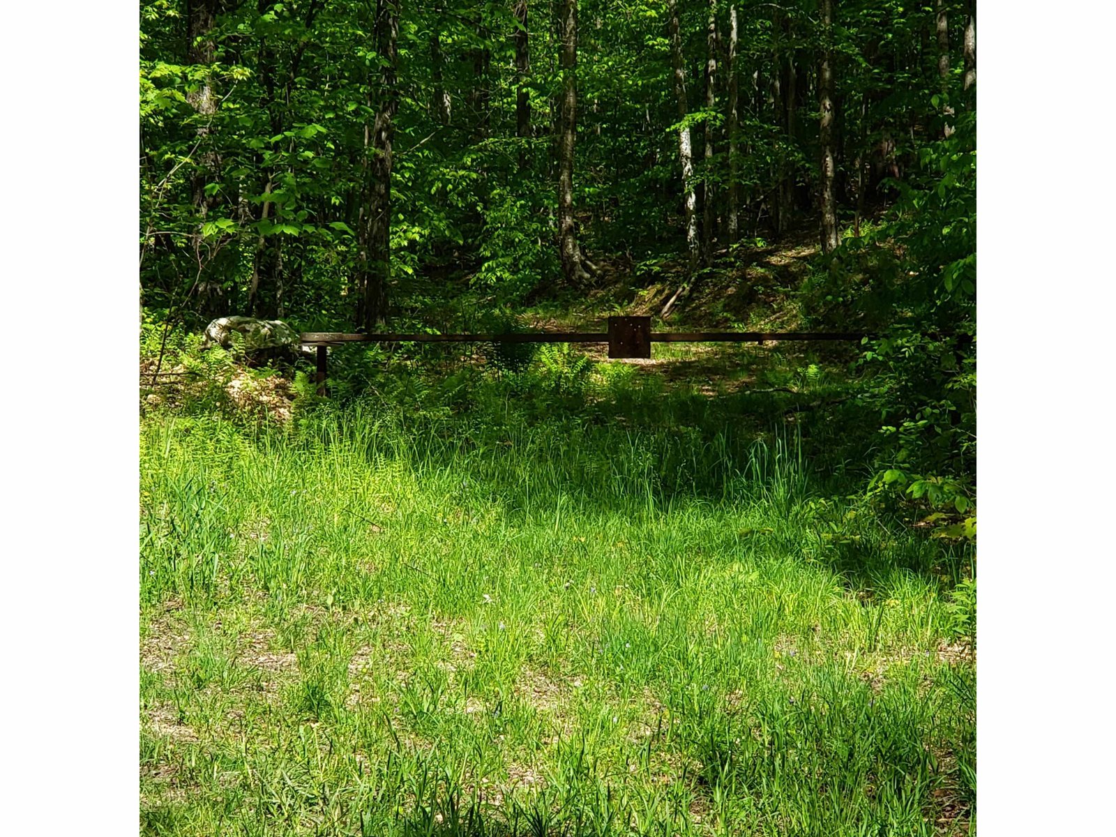 00 Beaver Meadow Road