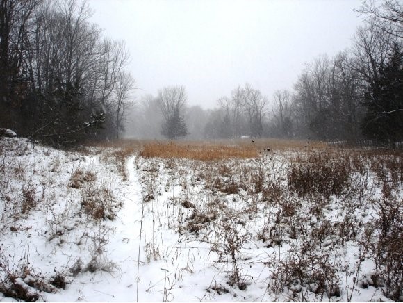 00 Beebe Hill Road