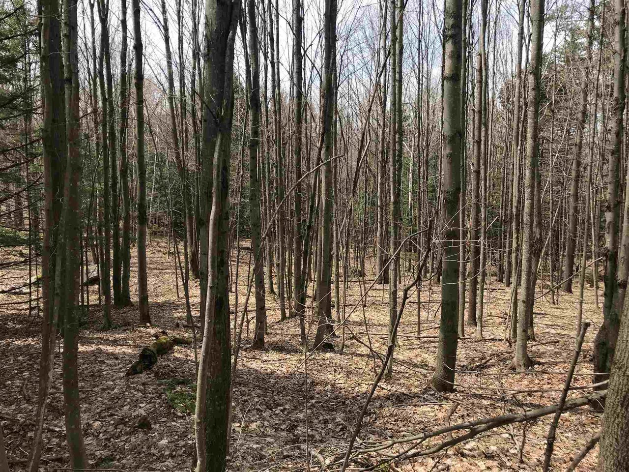 00 belle vista Road