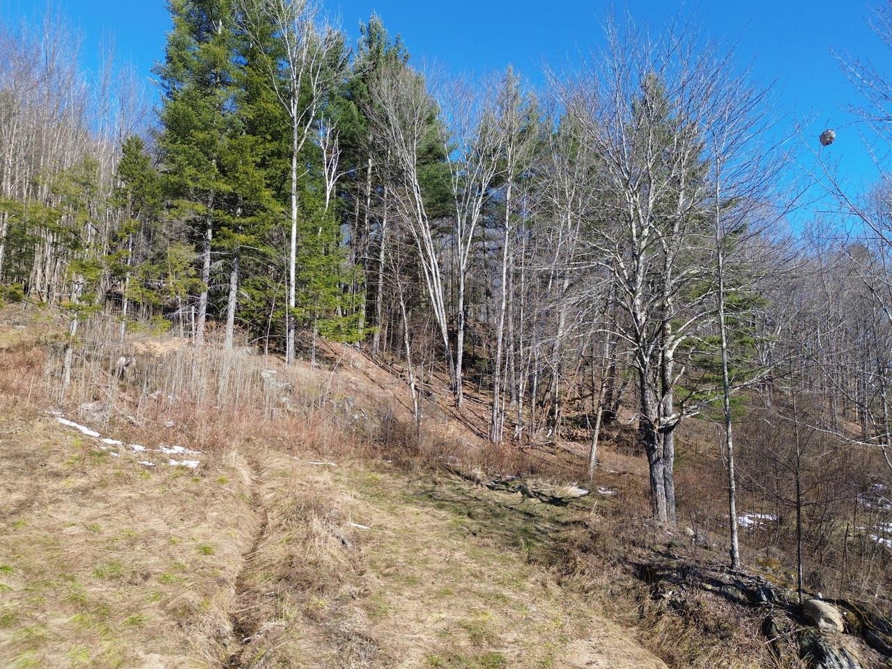 00 Bent Birch Lane Warren