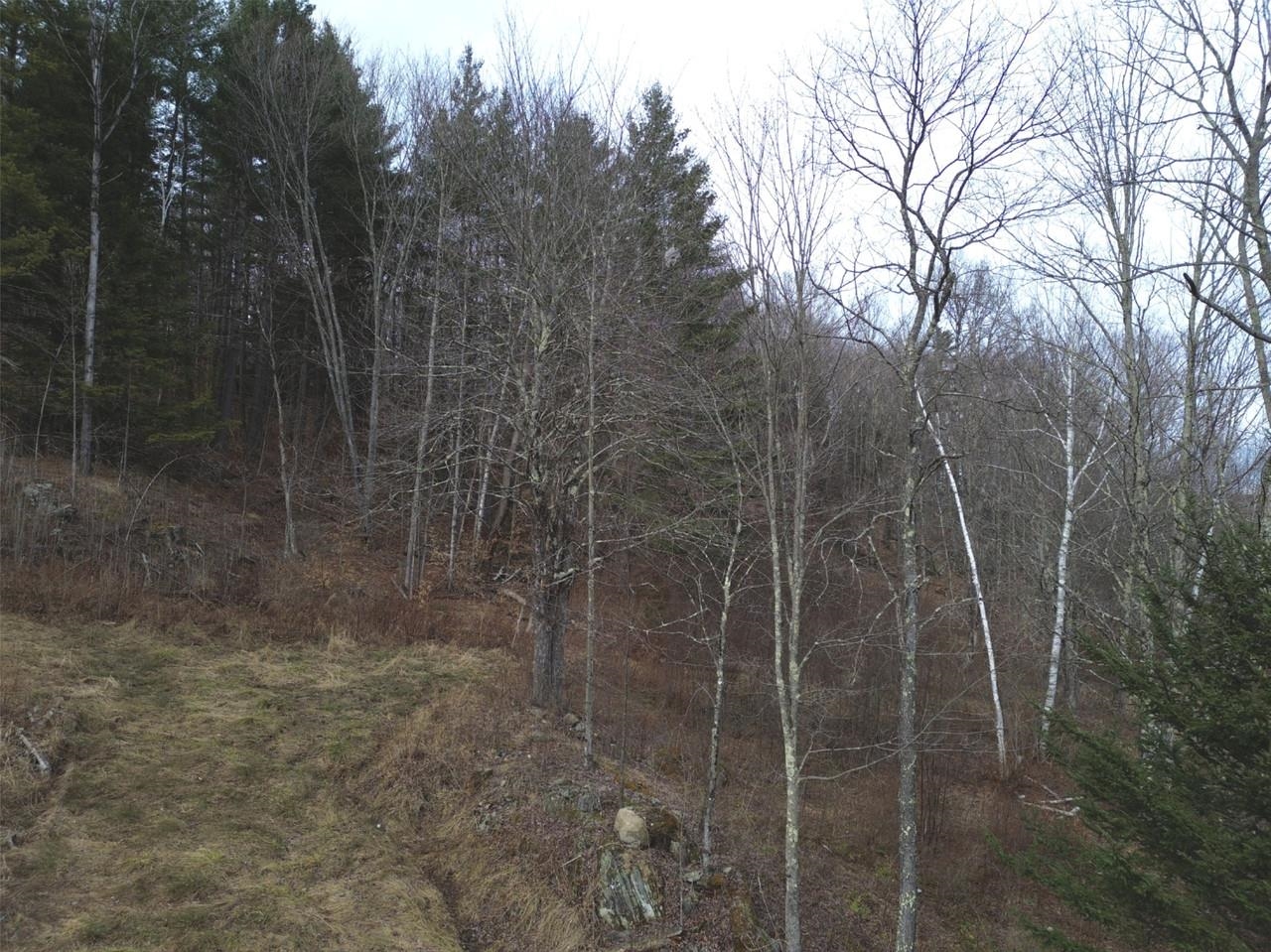 00 Bent Birch Lane