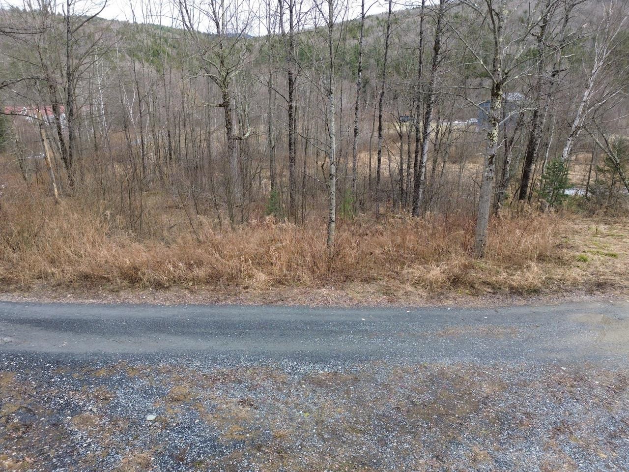 00 Bent Birch Lane