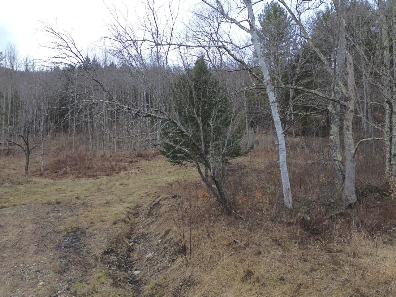 00 Bent Birch Lane