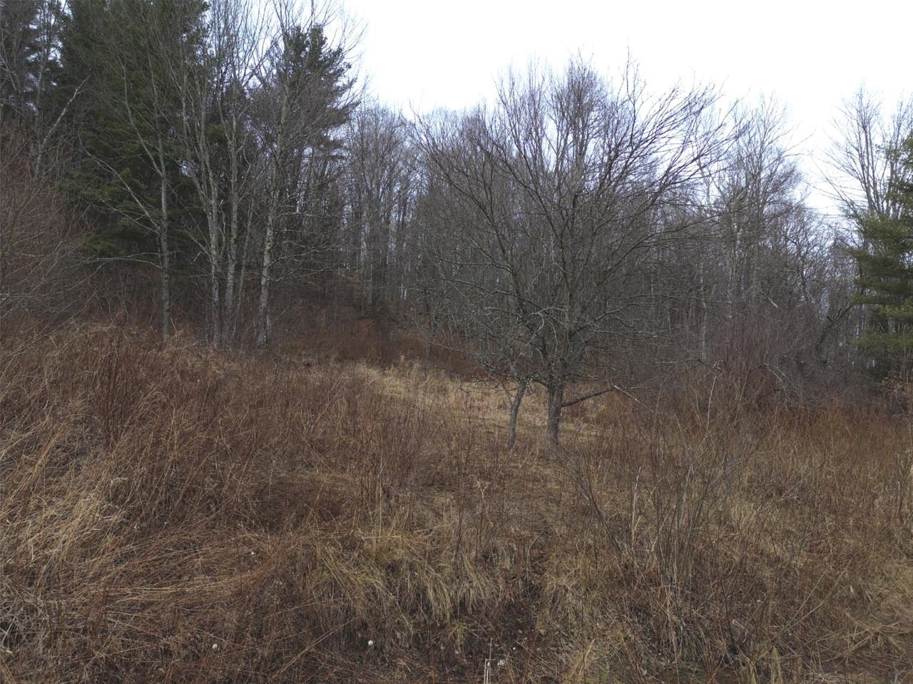 00 Bent Birch Lane