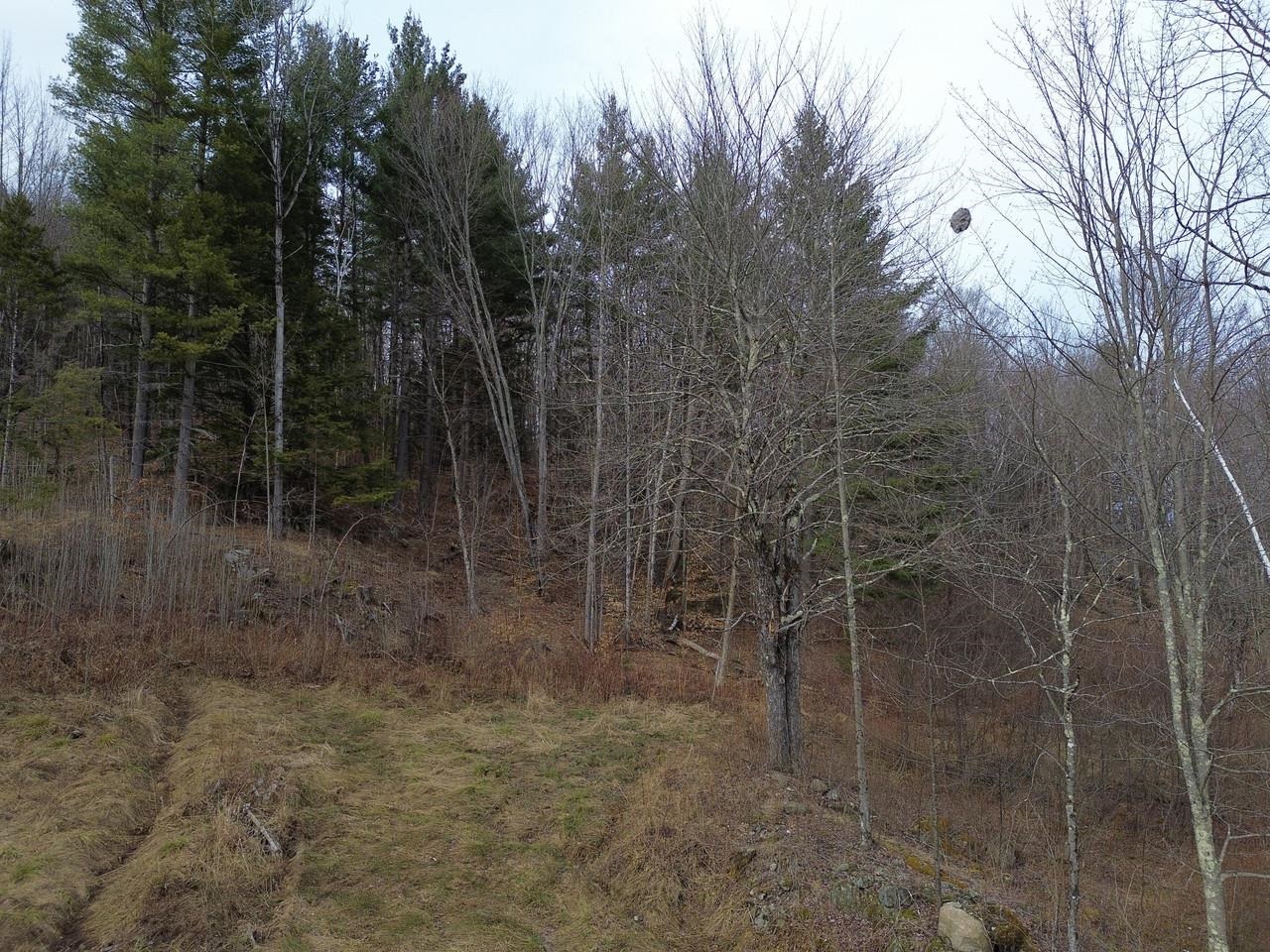 00 Bent Birch Lane