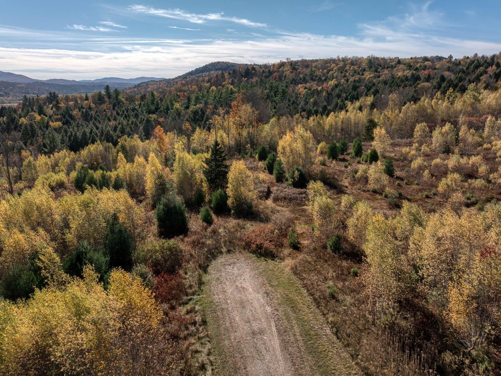 00 Birch Tree Lane