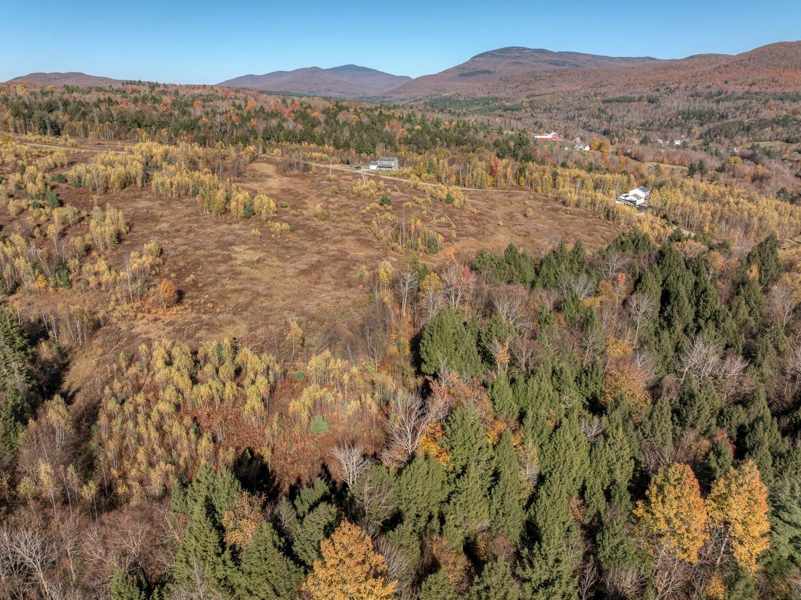 00 Birch Tree Lane