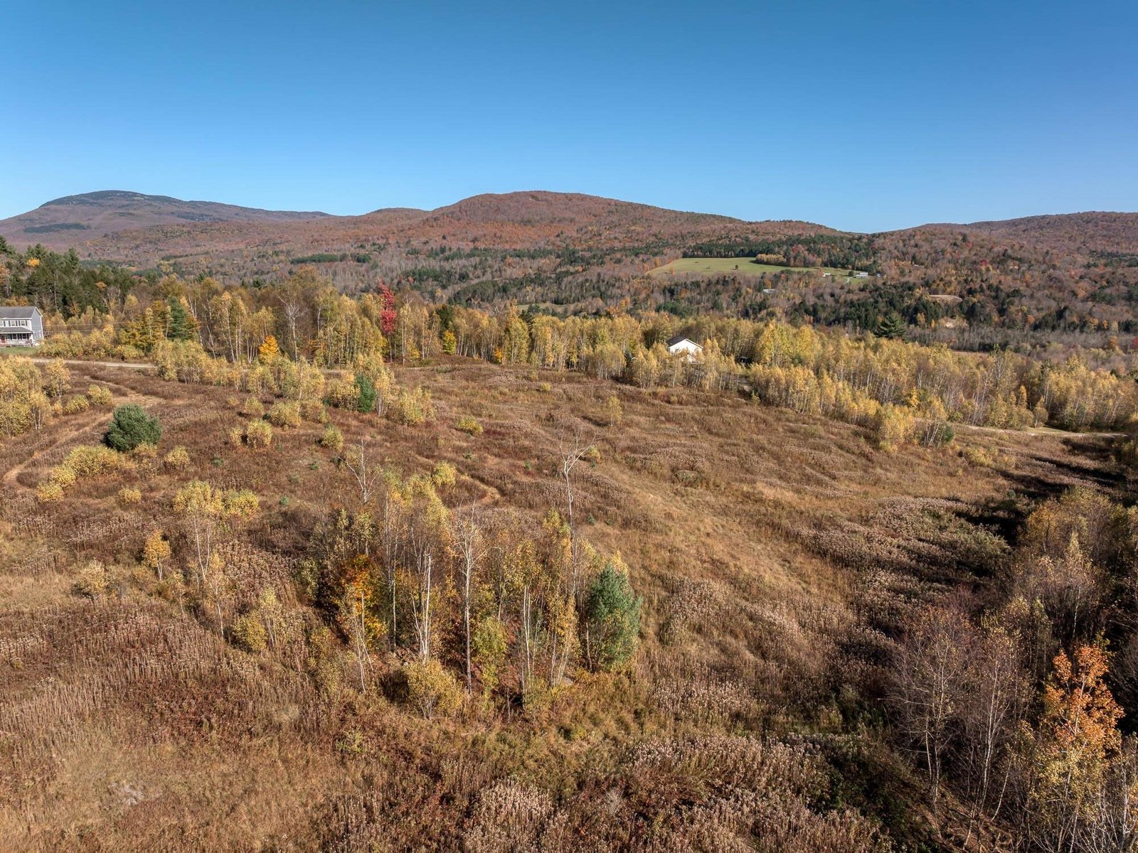 00 Birch Tree Lane