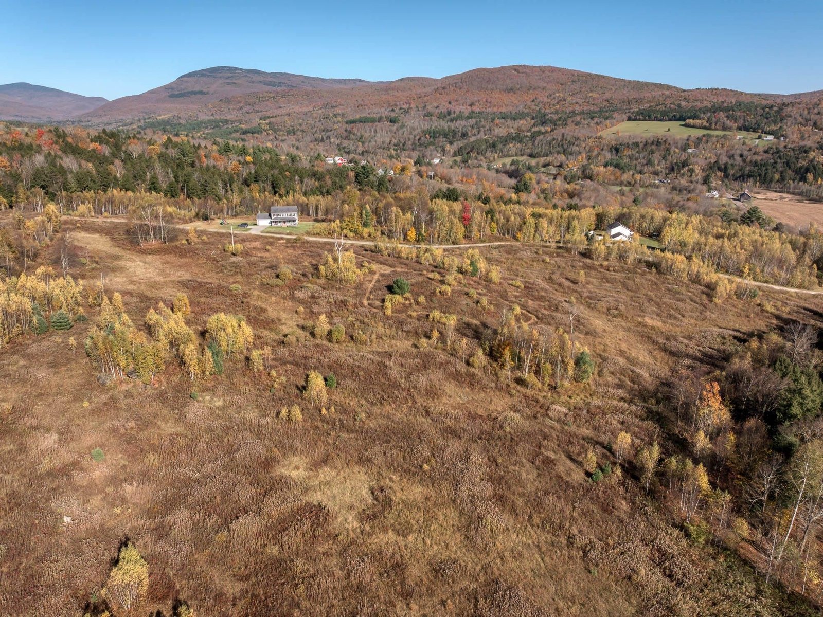00 Birch Tree Lane