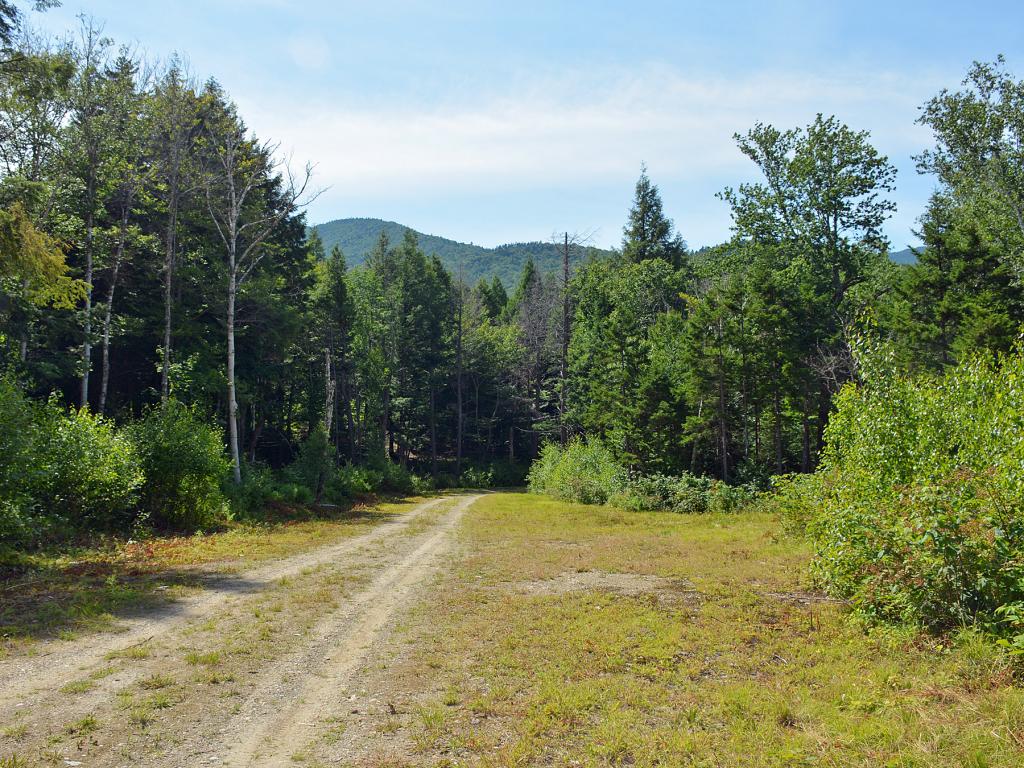 00 Black Bear Pass Drive