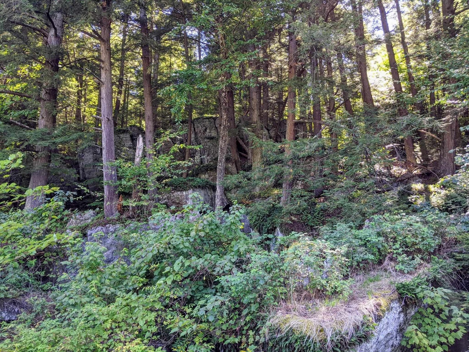 00 Briggs Hill Road