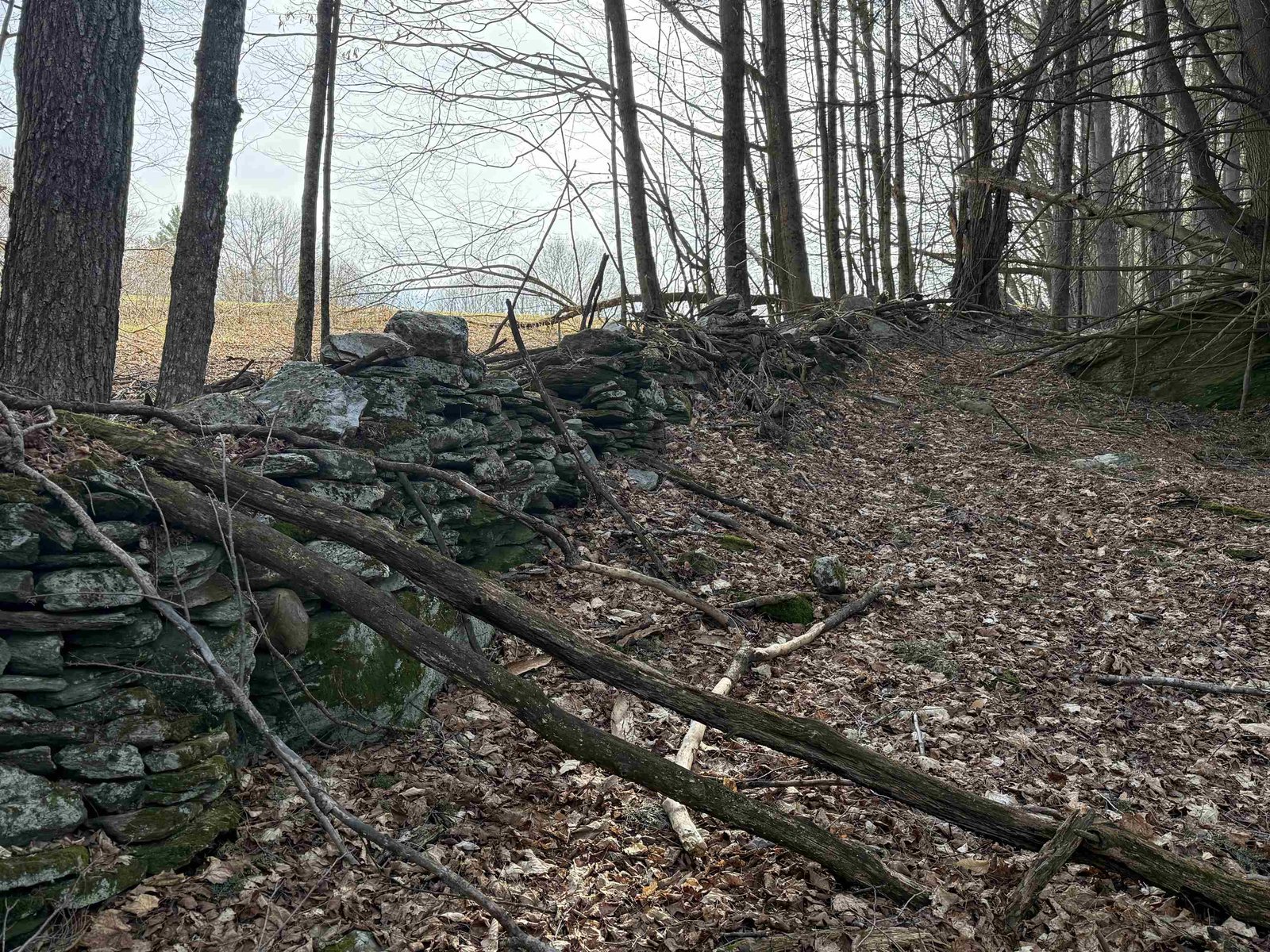 ONE OF MANY STONEWALLS SURROUNDING PROPERTY