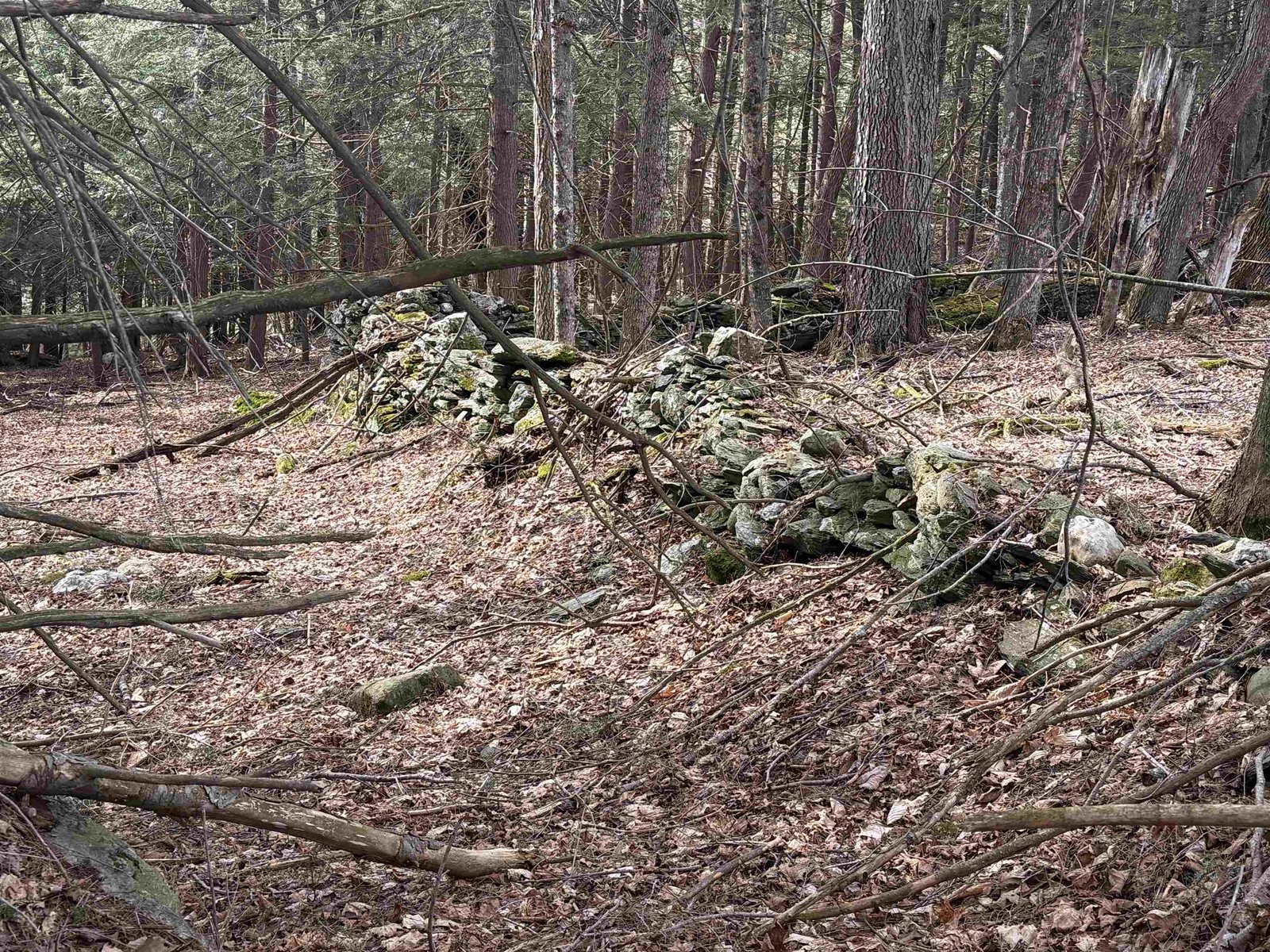 STONEWALL ALONG THE TOP OF PROPERTY