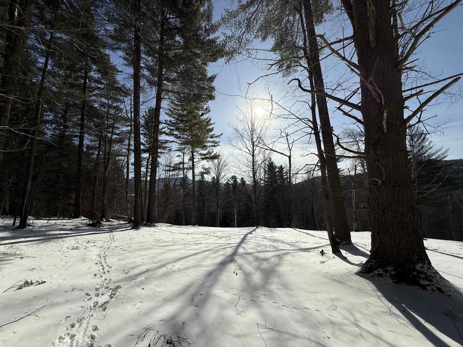 HOUSE SITE LOOKING TOWARDS SENOR ROAD