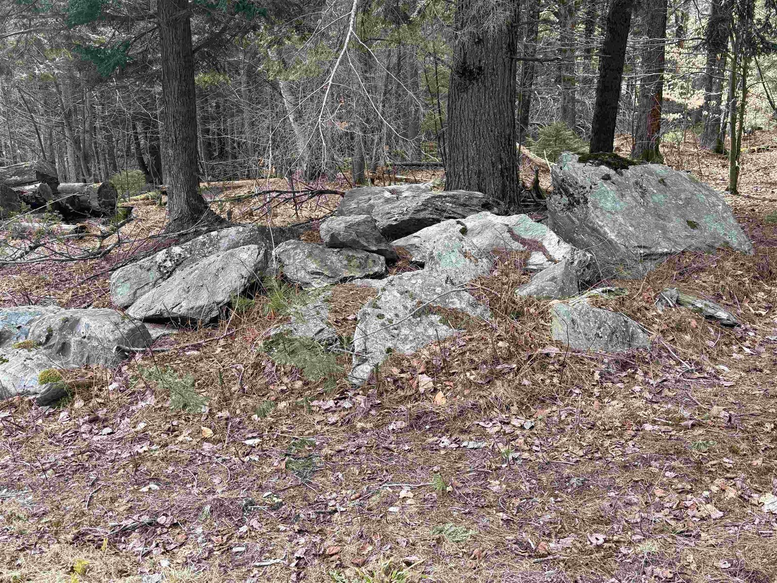LARGE PILE OF BOULDERS TO USE FOR LANDSCAPING