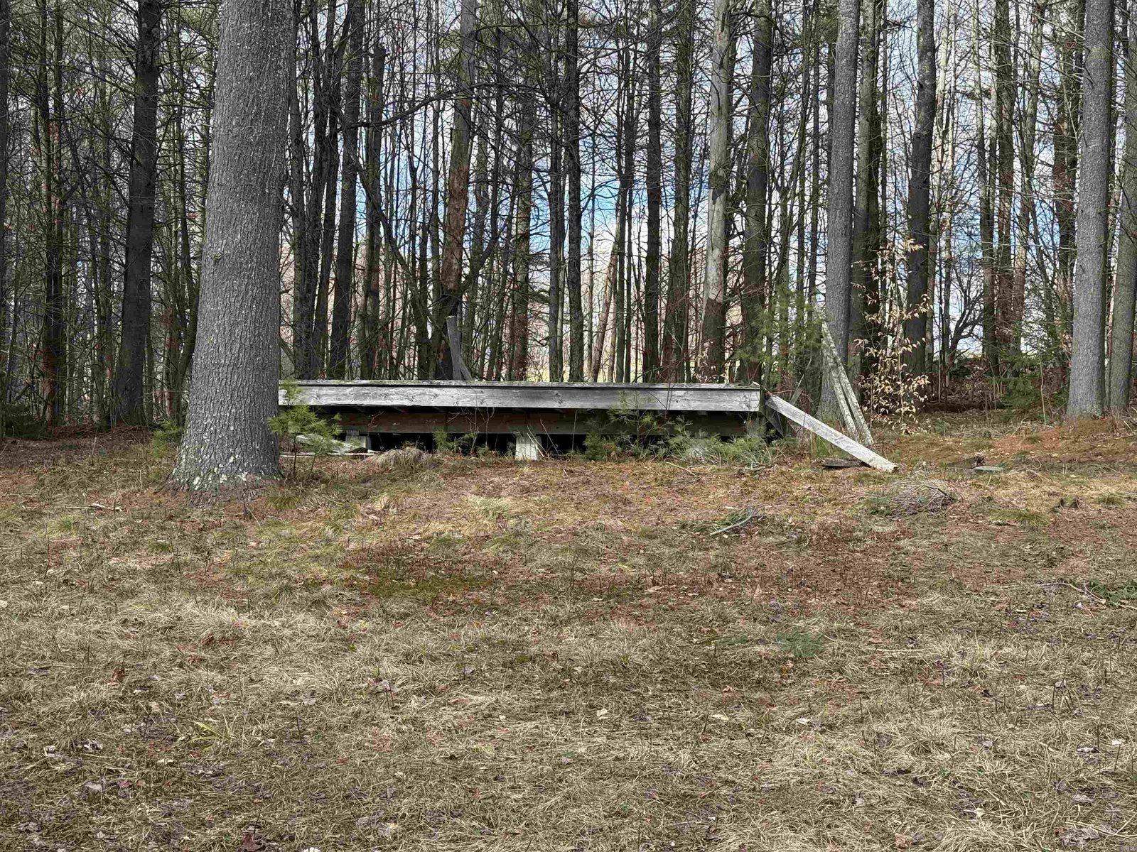 OLD TENT PLATFORM