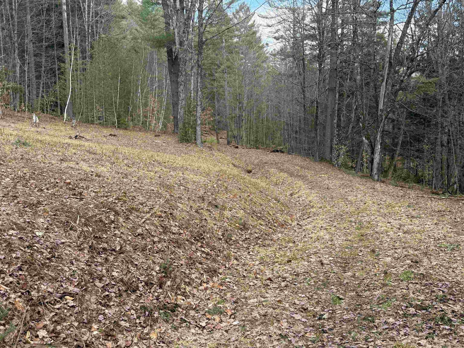 DRIVEWAY COMING UP TO HOUSE SITE