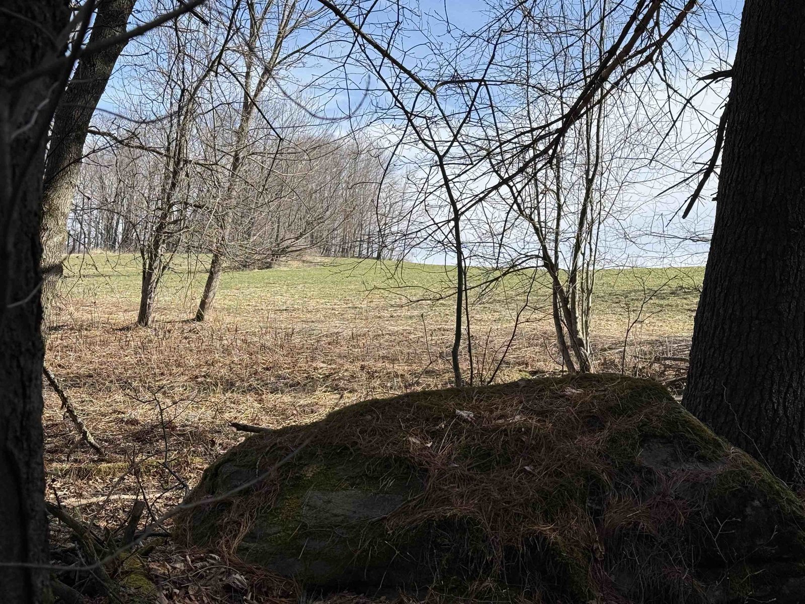 MEADOW ON THE OTHER SIDE OF STONEWALL
