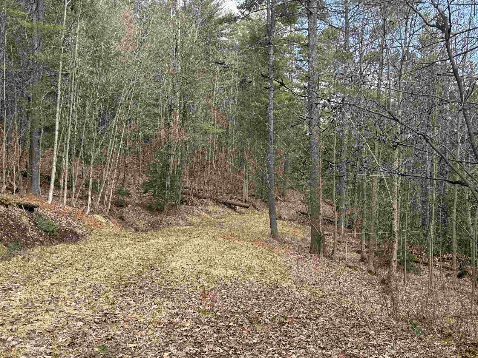 UPPER SECTION OF DRIVEWAY