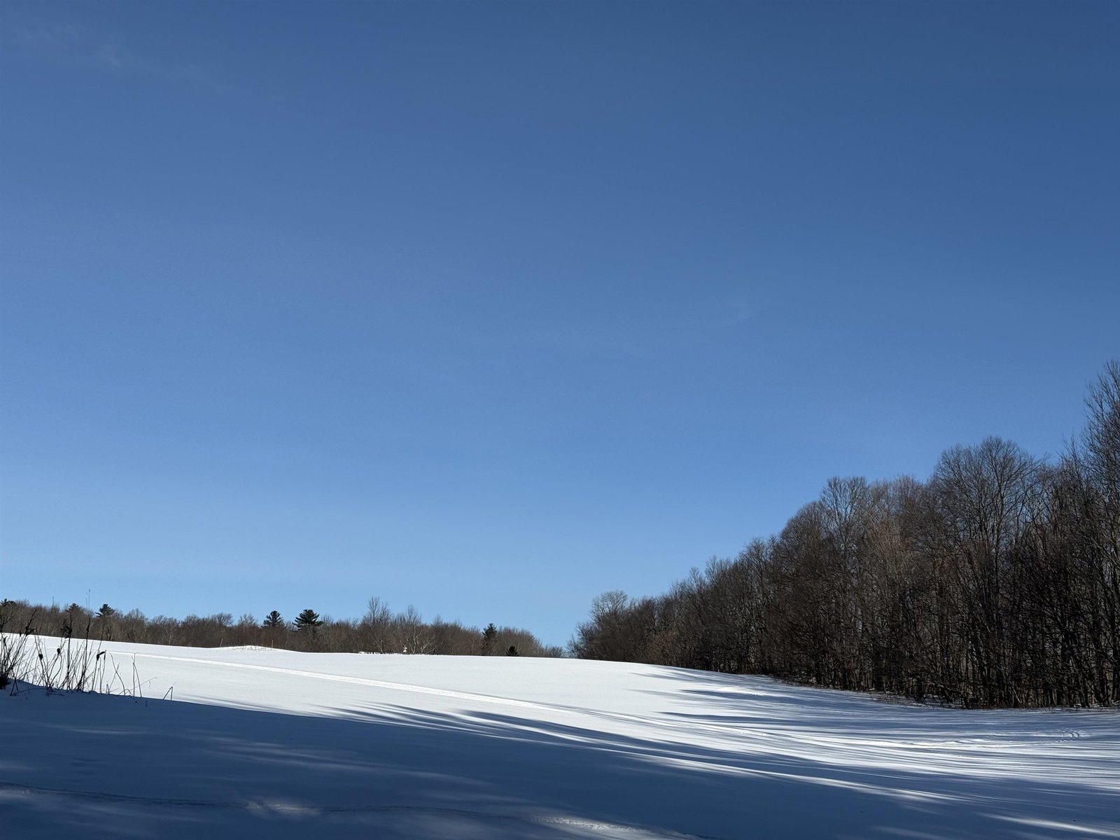 X COUNTRY SKI TRAILS RIGHT BEHIND HOUSE SITE
