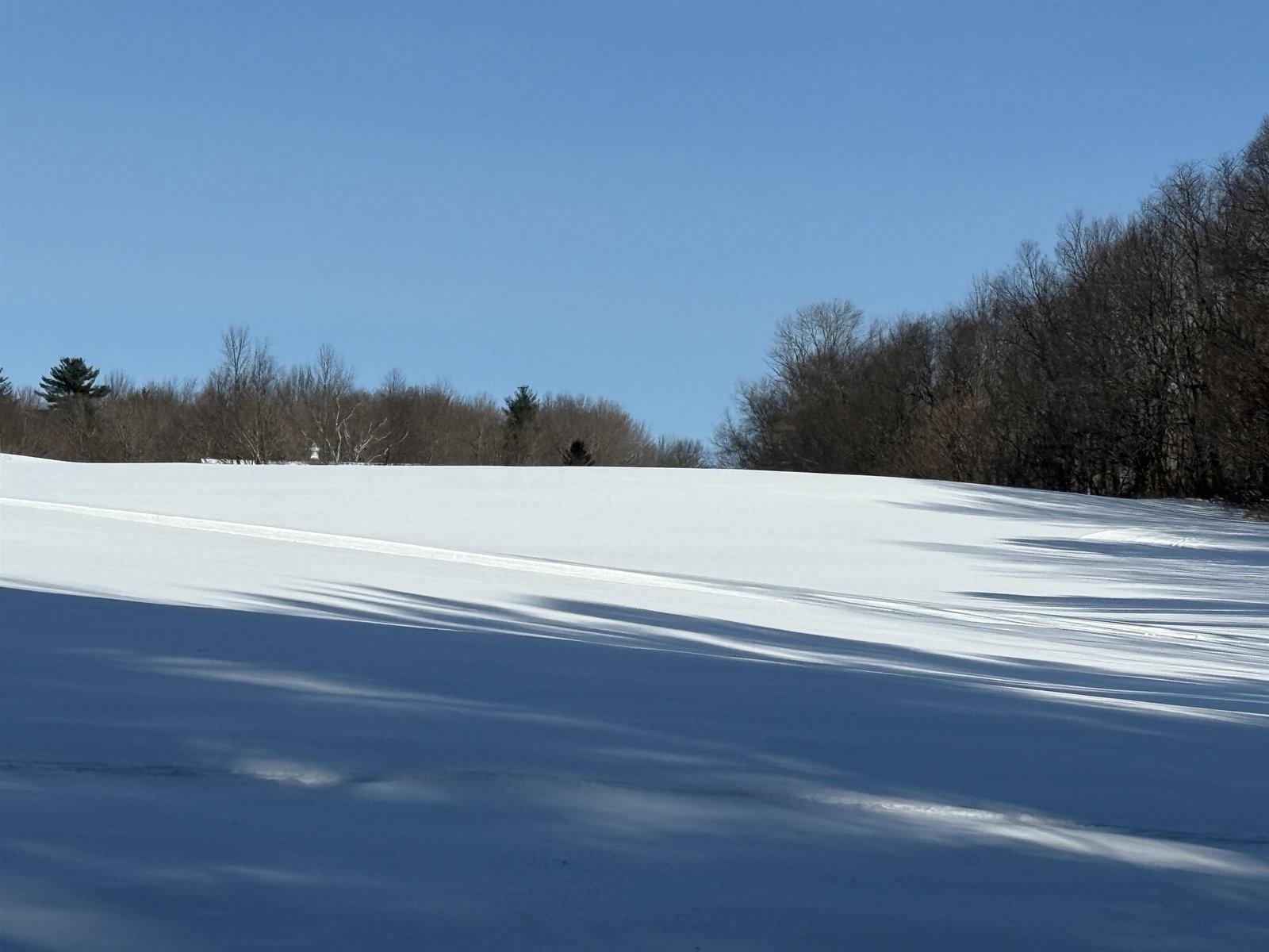 OPEN MEADOWS WITH OLES TRAILS NEXT DOOR