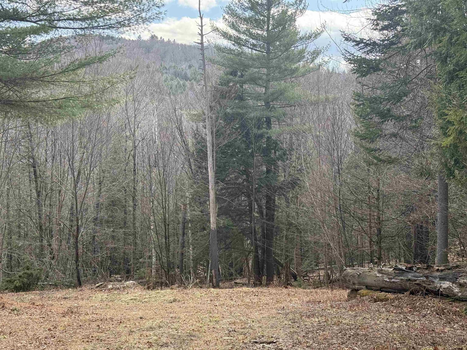 HOUSE SITE AREA LOOKING TOWARDS FULLER HILL