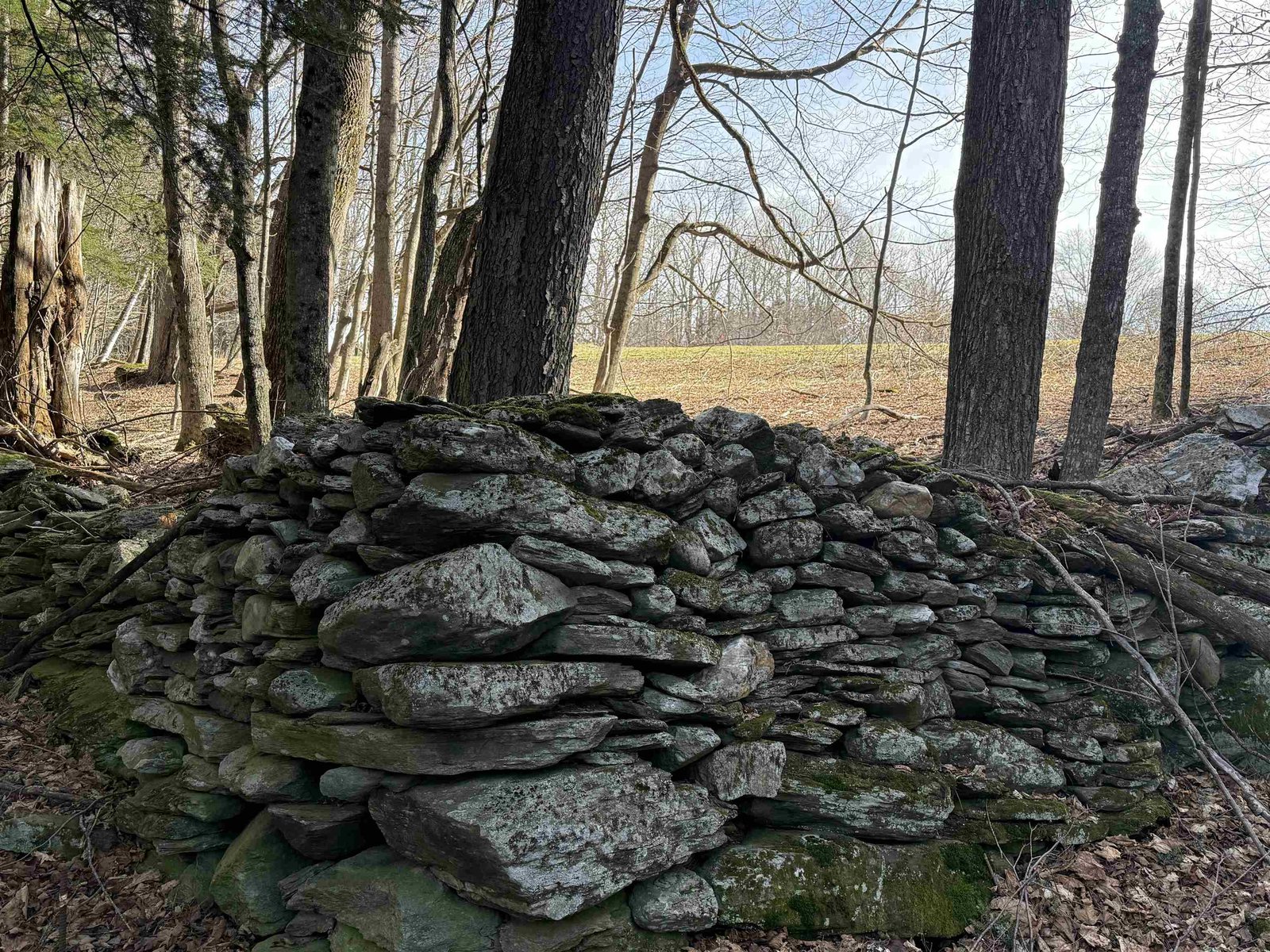 NORTHWEST CORNER OF PROPERTY