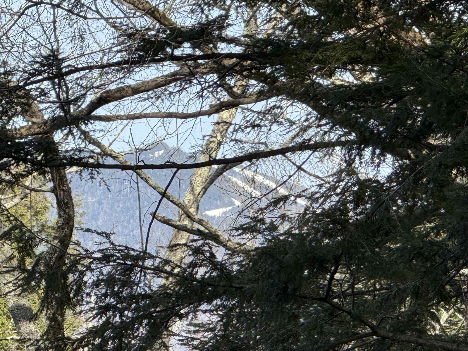 WESTERN VIEW OF LINCOLN PEAK