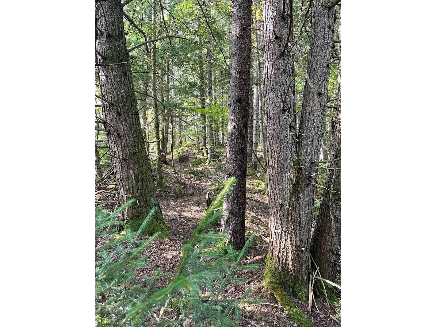 00 Brown Road