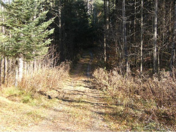 00 Bull Run Road